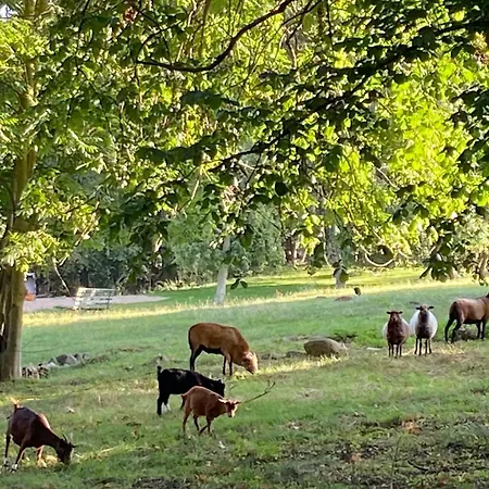 Grosses Familienapartment Ueber 2 Etagen Mit Weitblick In *