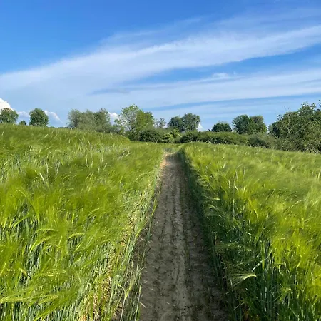 Apartment Grosses Familienapartment Ueber 2 Etagen Mit Weitblick In Neu Gaarz