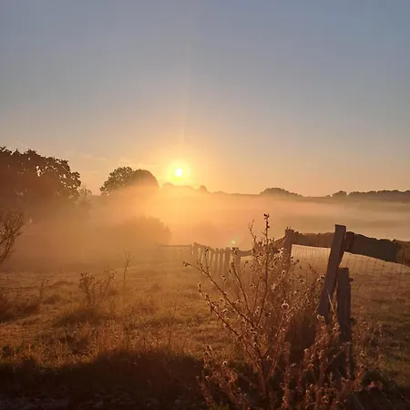Lejlighed Grosses Familienapartment Ueber 2 Etagen Mit Weitblick In Neu Gaarz
