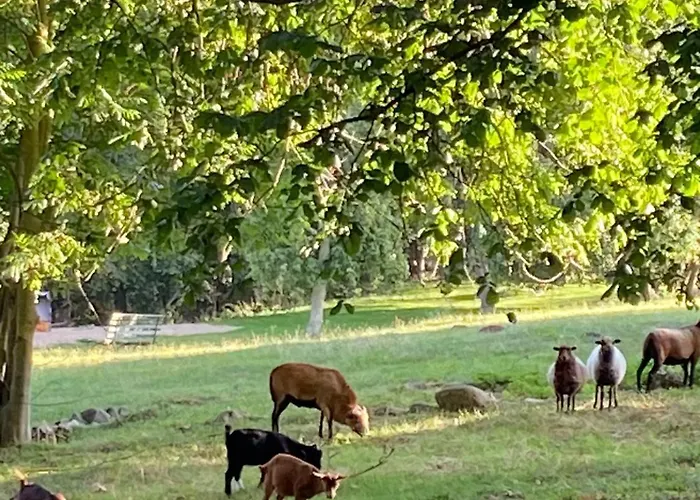 Grosses Familienapartment Ueber 2 Etagen Mit Weitblick In *
