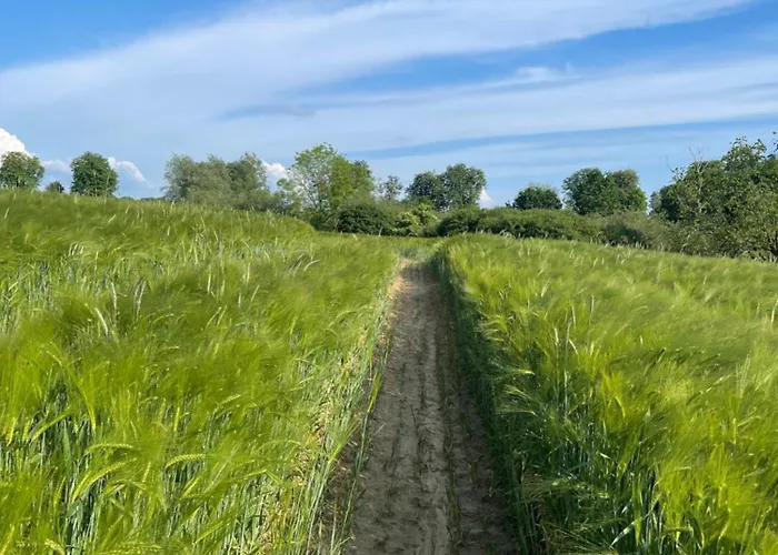 Apartman Grosses Familienapartment Ueber 2 Etagen Mit Weitblick In Neu Gaarz