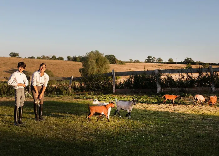 Grosses Familienapartment Ueber 2 Etagen Mit Weitblick In Apartman Neu Gaarz